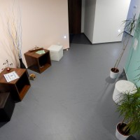 Denní lázně Brno | Galerie